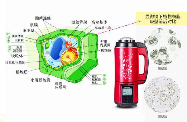 中国民族品牌网